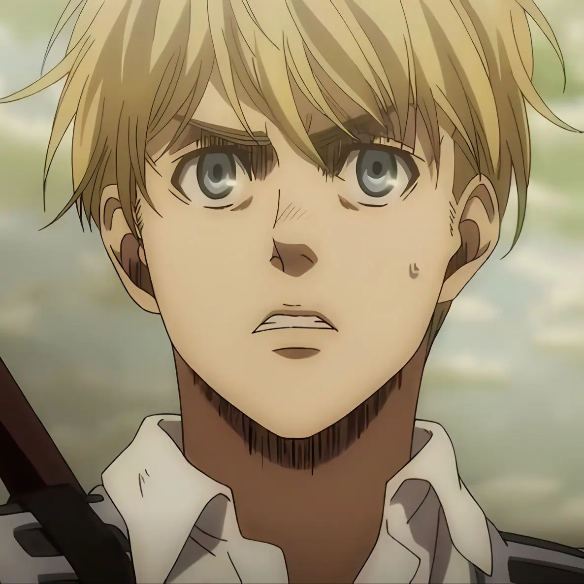 BulkyDiet8665의 여우를 피해서 아르민을 꼬셔라!