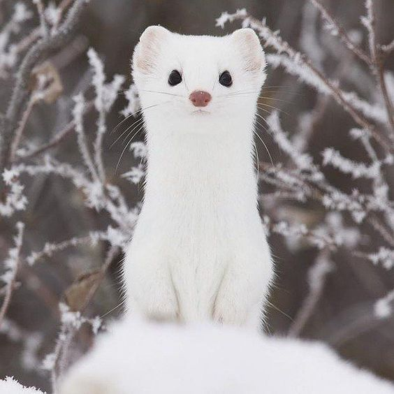 황현진 대표 이미지