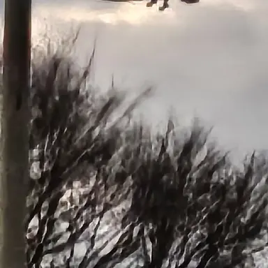 Profile image of 유지민