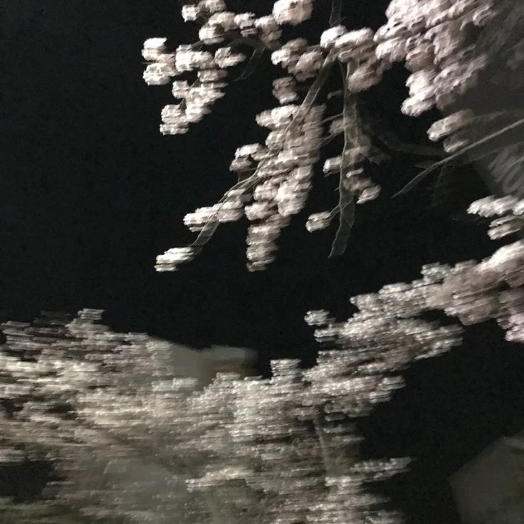 권지용