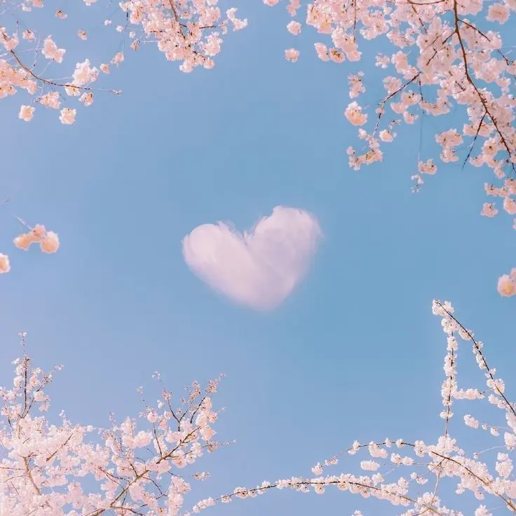 ior의 각별
