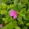 Profile image of .