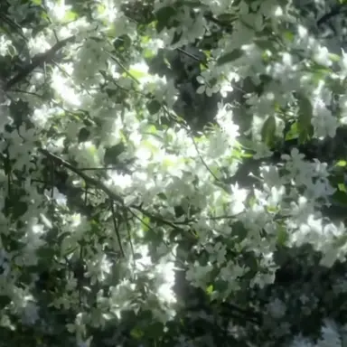 Profile image of 텬