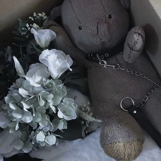 FakeAkita2830의 ゆきむら。