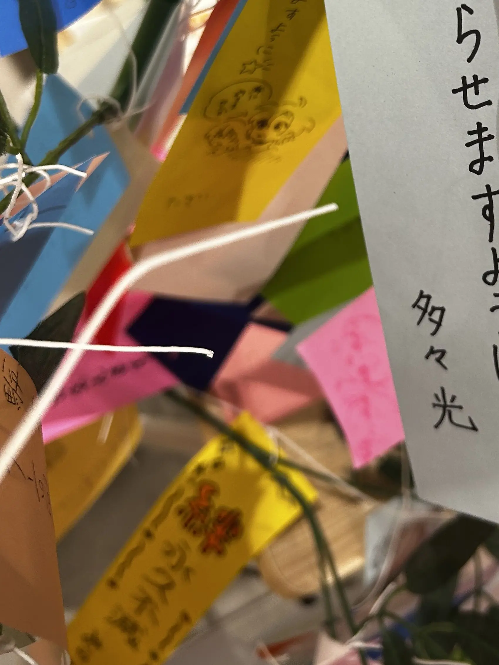 TastyWok4313의 個人用ぴかぴ