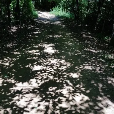 Profile image of 선유재