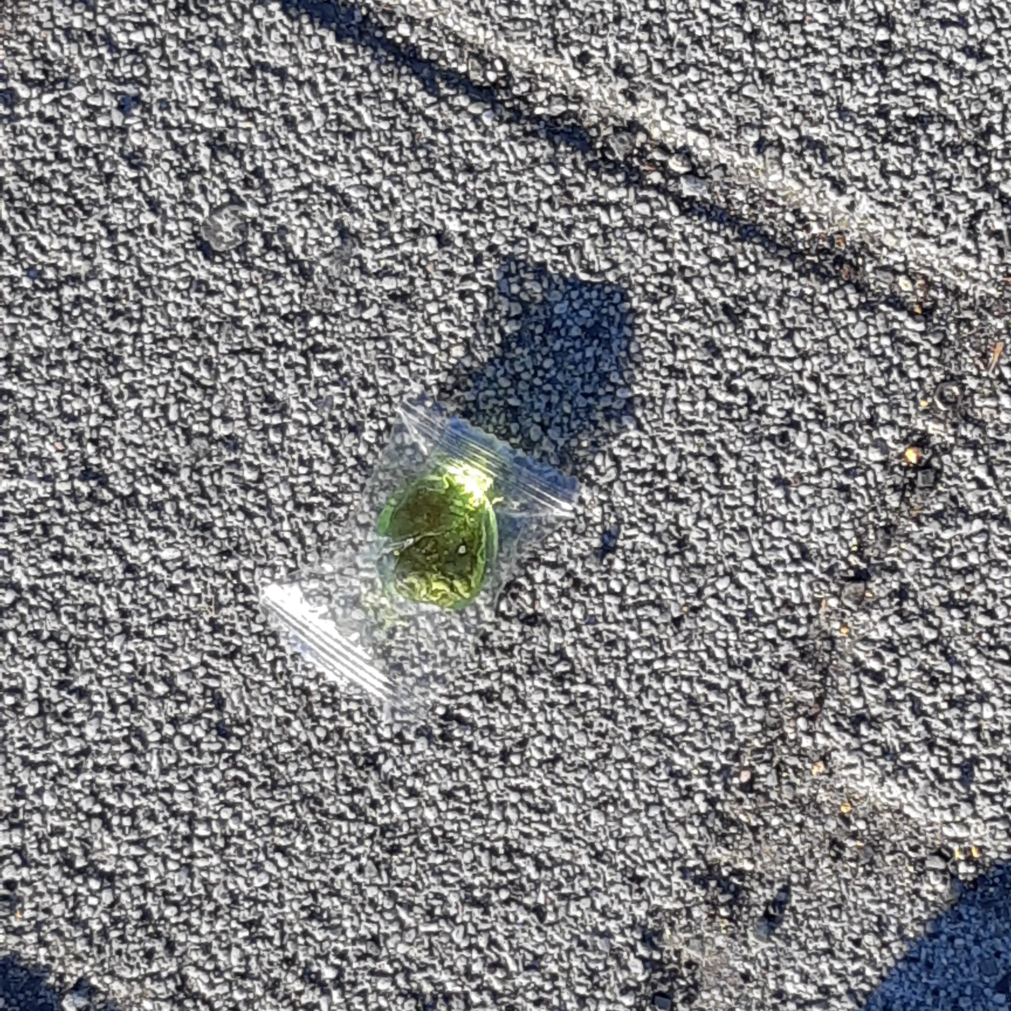 FoggySalt5512의 에르퀼 푸아로