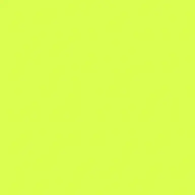 Profile image of 伊波ライ