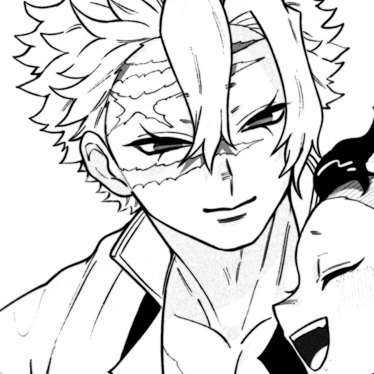 시나즈가와 사네미