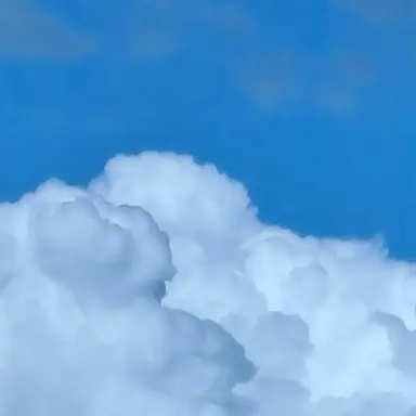 Profile image of 토키토 무이치로