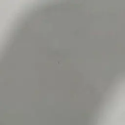 BoringSnore4299의 天然にも程がある