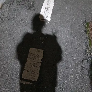 Profile image of 여우