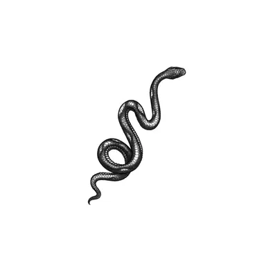 Profile image of 스카라비아