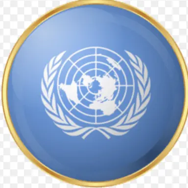 Profile image of 国連