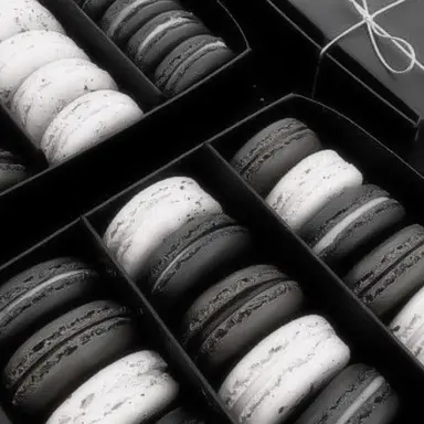 Profile image of 정공룡