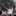 蘭