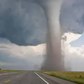 Profile image of Tornado