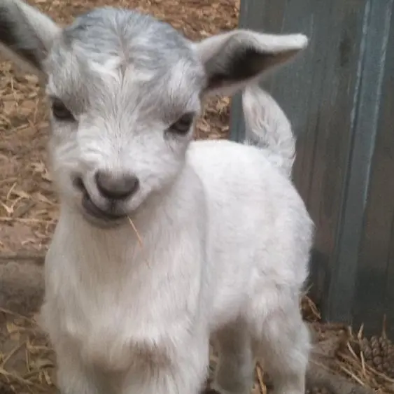 ouo_rnjs의 백사헌을 갈궈보자