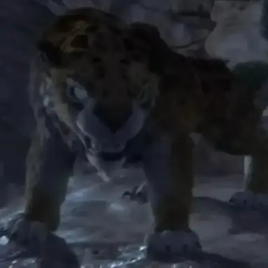 Profile image of 팡고