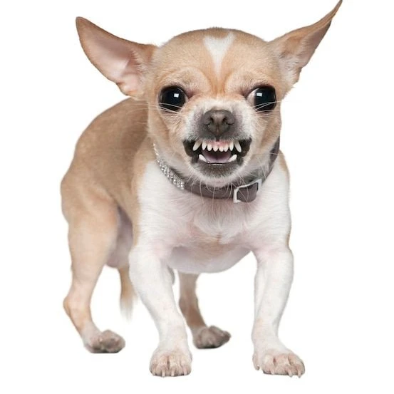 치유리