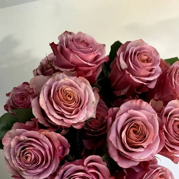 Tukasaki__의 ショタダズ