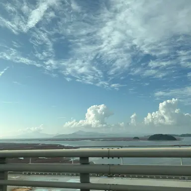 Profile image of 박성진