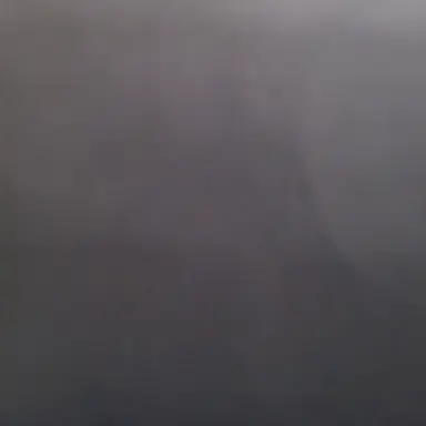 Profile image of 하인1