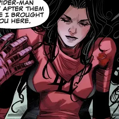 StupidFan2872의 Elektra Natchios