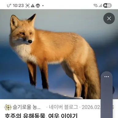 Profile image of 여우