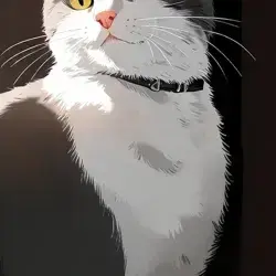 Profile image of Wcue Df vs Starclan