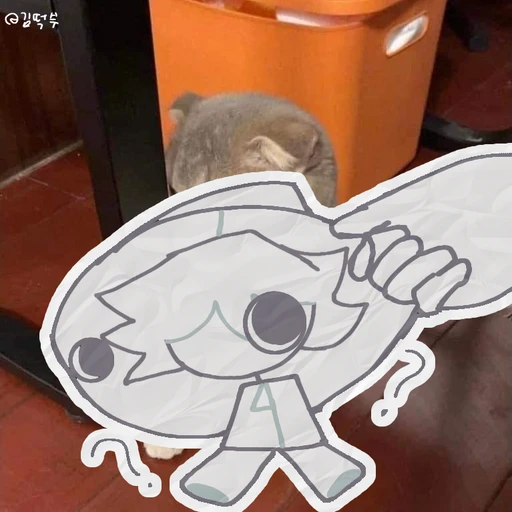 칲