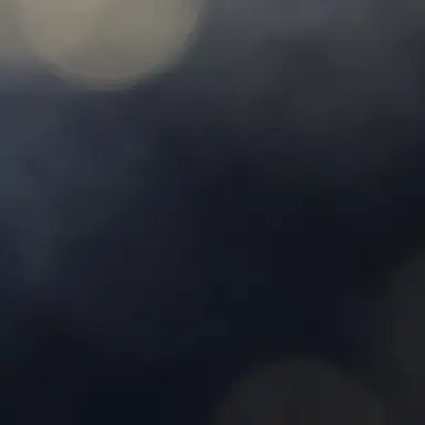 Profile image of AI