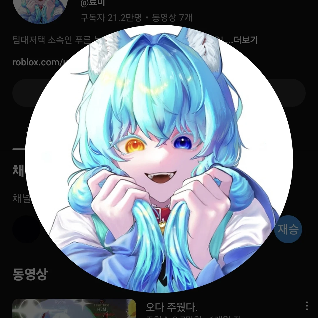 료미