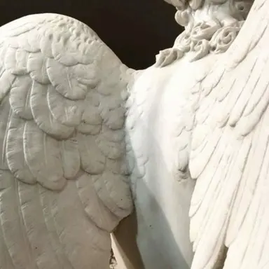 Profile image of Atlas Xian