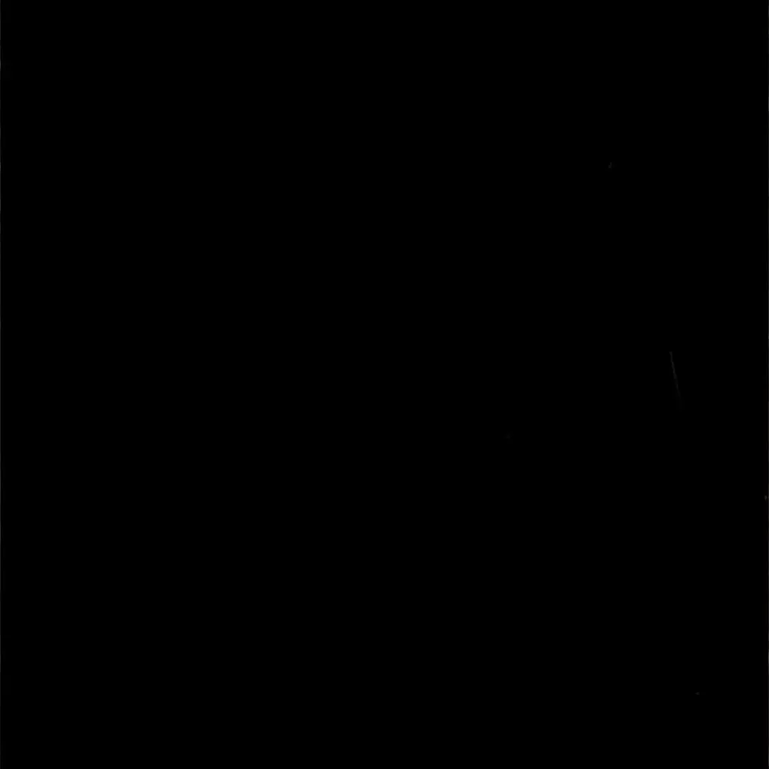 ChewyPlank2036의 경찰 비스트