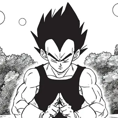 Profile image of Vegeta