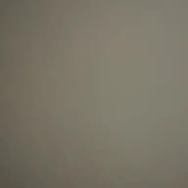 Profile image of 이리오