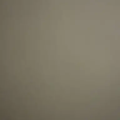 Profile image of 정상현