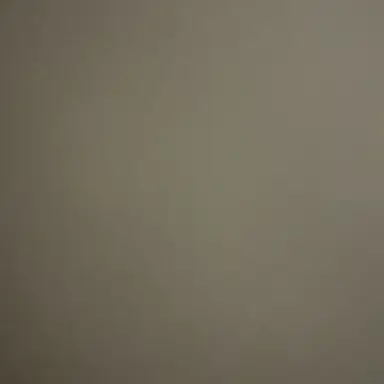 Profile image of 이상원