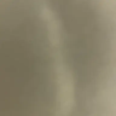 Profile image of user