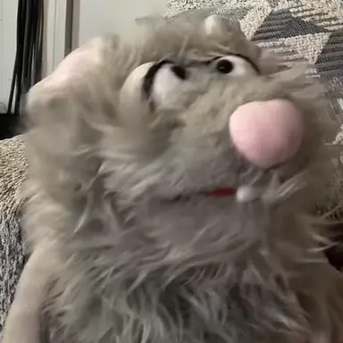 Profile image of Cheeto the mutated rat