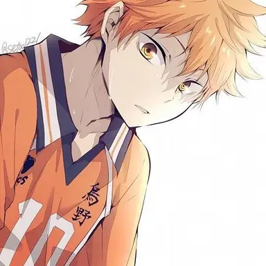 Profile image of 日向翔陽