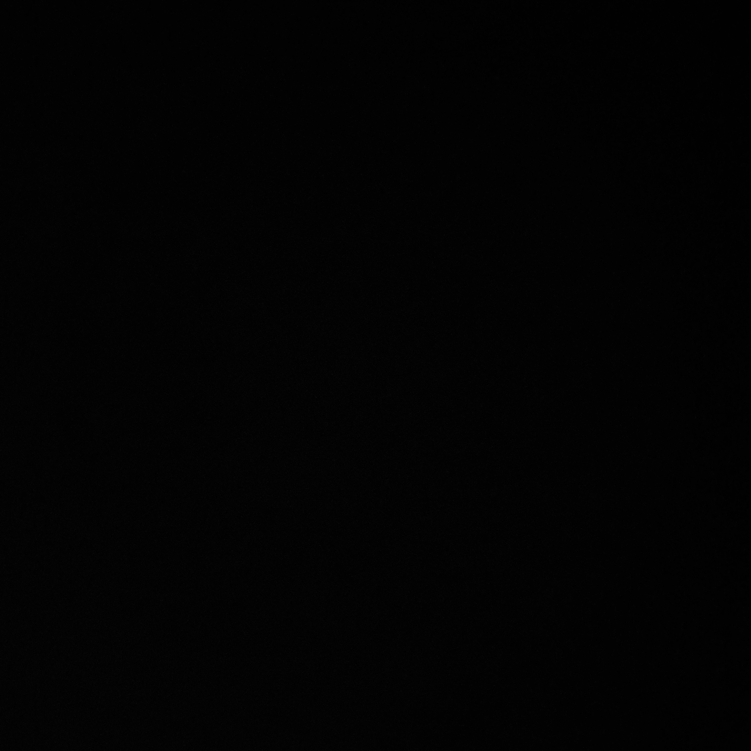 윤정핝