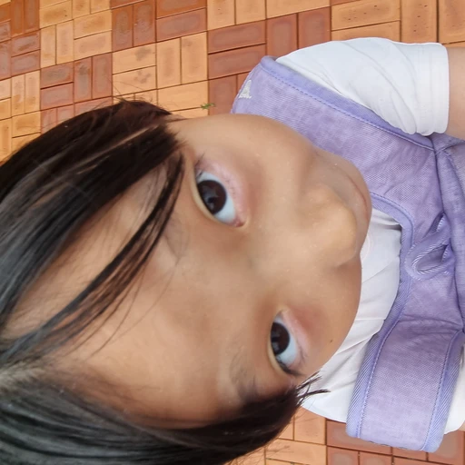 제작자