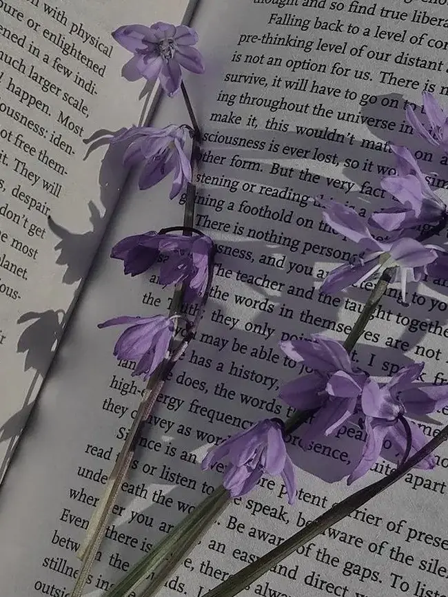 s.01_eb0602의 황수현