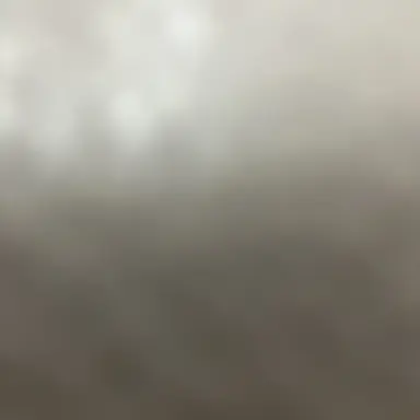 Profile image of 그레이