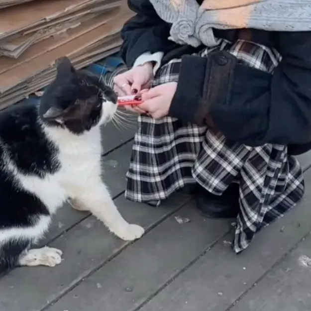 Mnmnmnmnmeow의 김민정