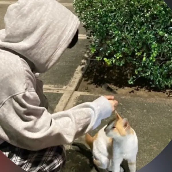 MistyFish7596의 思い出せない…だけど懐かしい気持ち