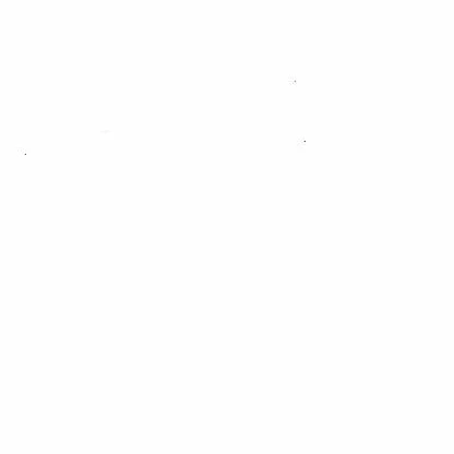김하연