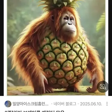 Profile image of 늑대